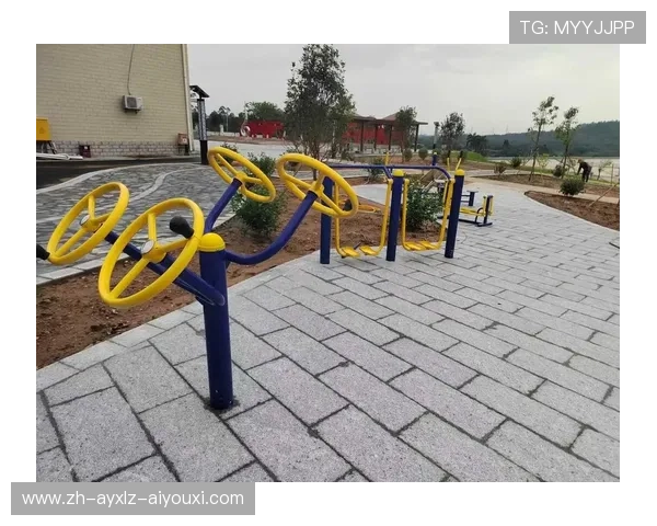 陕西健身器材:陕西省本地健身器材生产厂家与销售渠道 陕西健身器材:陕西省本地健身器材生产厂家与销售渠道