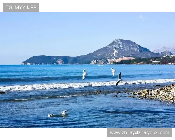 黄海之滨的冰雪奇缘:盐城冬泳者口述实录 黄海之滨的冰雪奇缘:盐城冬泳者口述实录